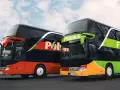 FlixBus (Polski Bus) z psem? Poznaj wyjątki i alternatywy!